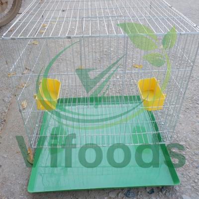 Lồng nuôi bồ câu